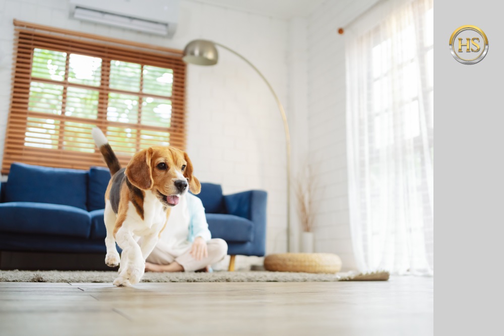 How to Make a Pet Friendly Home That Buyers Will Love